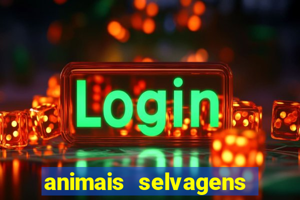 animais selvagens fotos e nomes